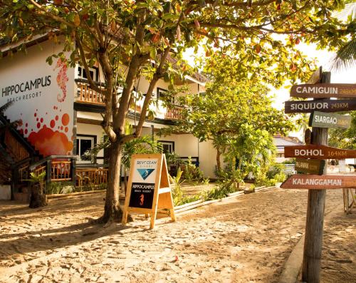 Фотография гостиницы Hippocampus Beach Resort