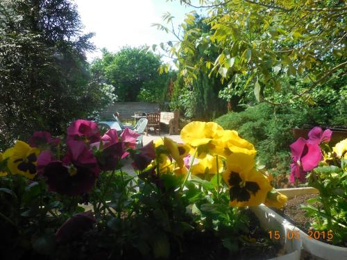 Фотография мини отеля Les Chambres de la Nied