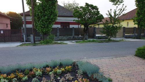 Фотография гостевого дома Casa Lyna