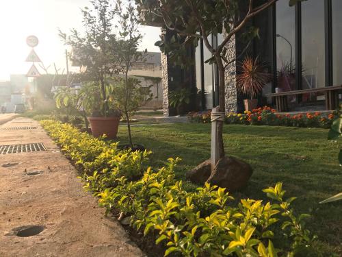 Фотография мини отеля Good Nest Homestay