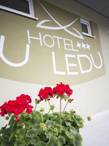 Фотография гостиницы Hotel u Ledu