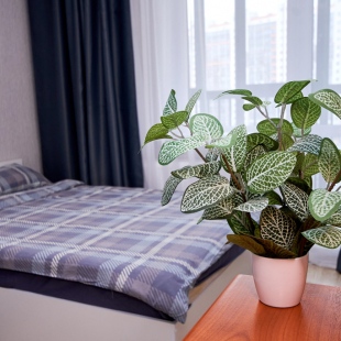 Фотография квартиры Квартира Уютная светлая на Родниках