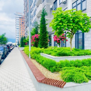 Фотография квартиры Апартаменты Вокруг Света Новороссийск