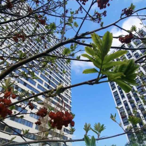 Фотографии квартиры
Апартаменты Пентхаус Mix