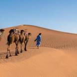 Фотография базы отдыха Desert Bivouac Mhamid