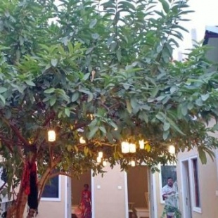 Фотография гостиницы The Art Hotel by VIA VARANASI