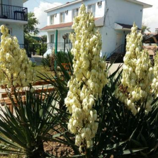 Фотография базы отдыха Гавань