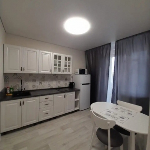 Фотография квартиры Апартаменты Алексеева 27