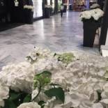 Фотография мини отеля B&B Galleria Cavour