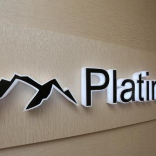 Фотография гостиницы PLATINUM