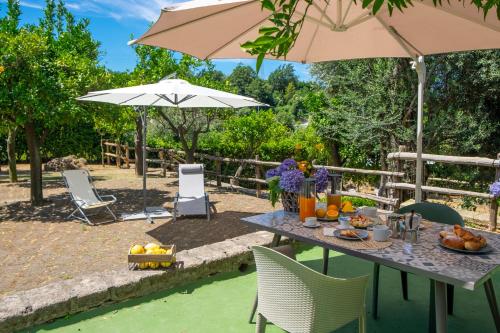 Фотография мини отеля My Place Home & Garden