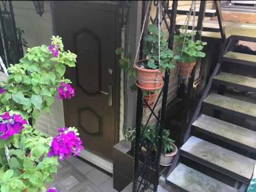 Фотография мини отеля В старом Центре Сочи