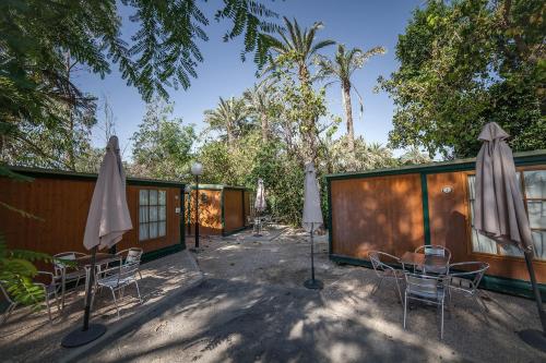 Фотография кемпинга Camping Las Palmeras