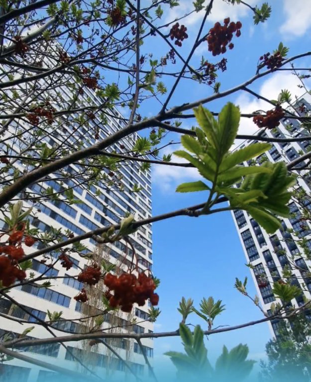 Фотография квартиры Апартаменты Пентхаус Mix