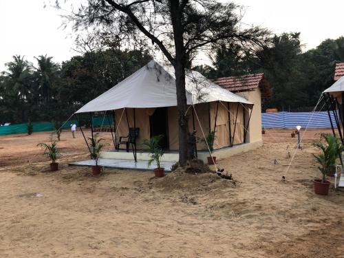 Фотография гостиницы 5 Mile Beach Resort