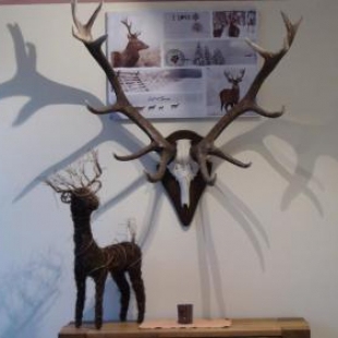 Фотография гостиницы Hotel Hirsch