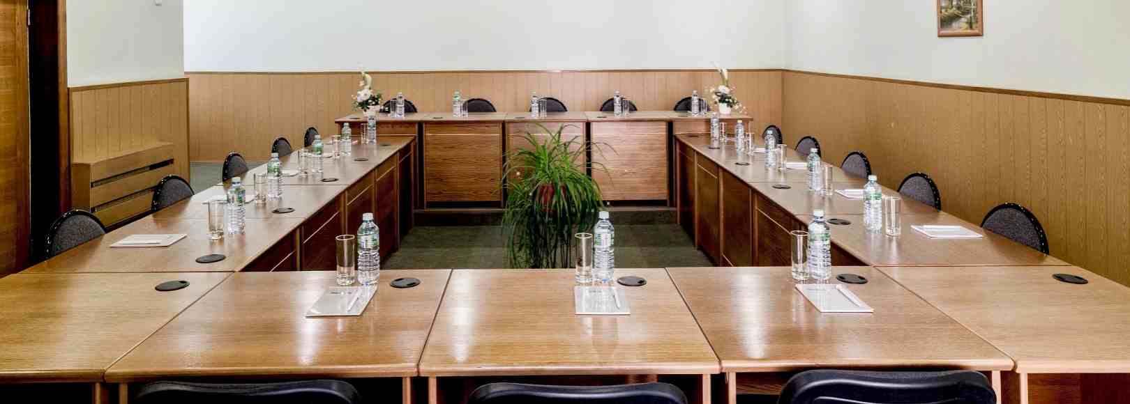 Фотография конференц-зала Дубки