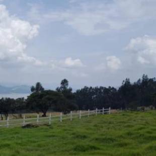 Фотографии гостевого дома 
            Altozano Cabañas