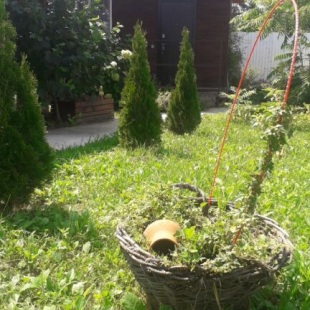 Фотография Коттеджа Частный дом Feel House