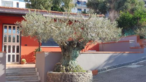 Фотография мини отеля Bed & Breakfast Neapolis