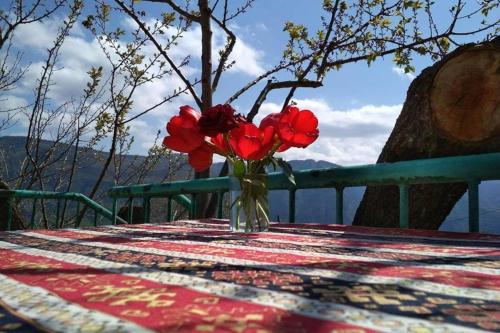 Фотографии гостевого дома
Igor Bed and Breakfast