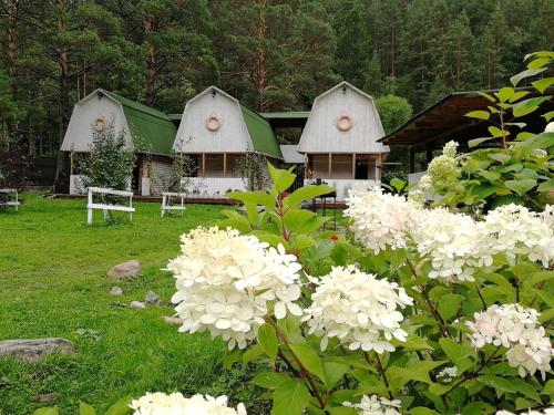 Фотография гостевого дома Белая дача