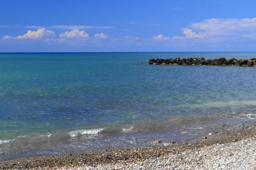 Фотографии гостевого дома
Тропиканка