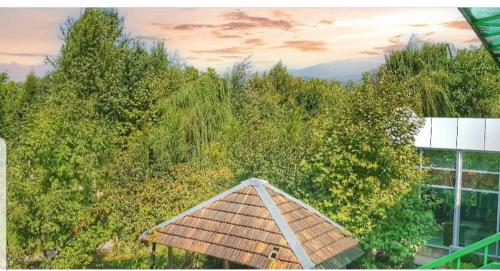 Фотографии гостиницы 
            Çıraqban