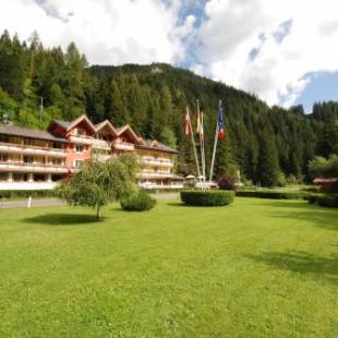 Фотографии гостиницы
Hotel Foresta