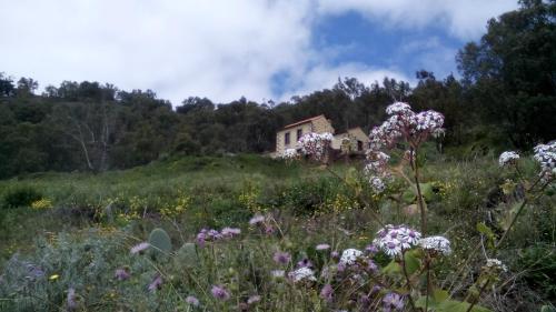 Фотография гостевого дома Casa Rural Las Caldereras