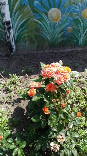 Фотография гостевого дома Дом у Дона в 45 км от Ростова