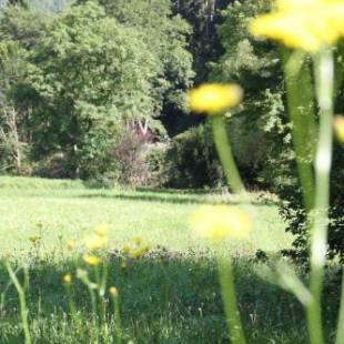 Фотографии гостиницы
Business Class Hotel Häckermühle