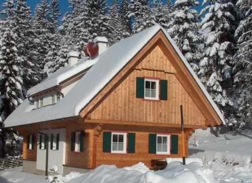 Фотография гостевого дома Alpine Cabin