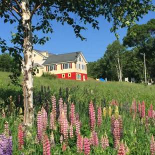 Фотографии гостевого дома
Pension Hoshi Ni Negaiwo