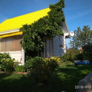 Фотография гостевого дома На Новой, 10