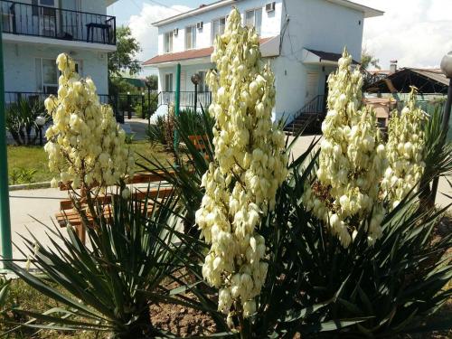 Фотографии базы отдыха
Гавань