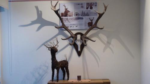 Фотография гостиницы Hotel Hirsch