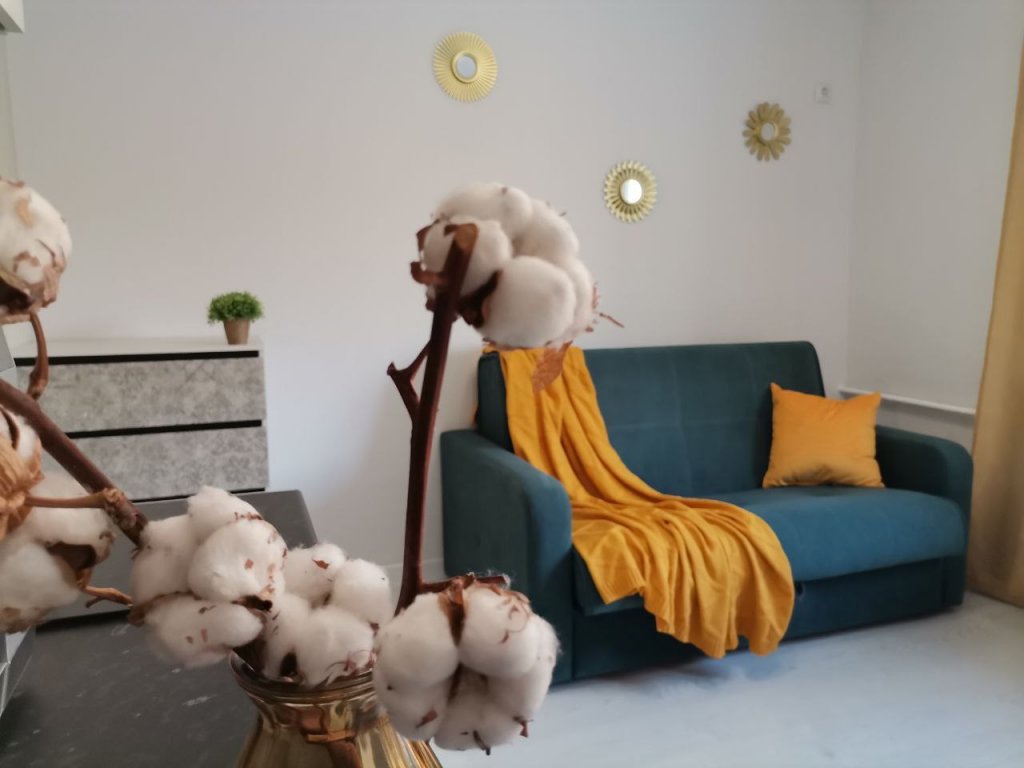 Фотография квартиры Апартаменты Северное Сияние Мелникайте 83к2 333