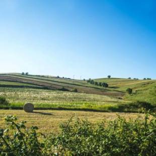 Фотографии гостевого дома
LE PITTURE casa di campagna