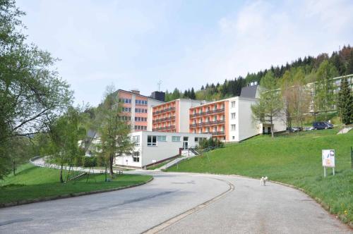 Фотография гостиницы Wellness Hotel Dlouhé Stráně