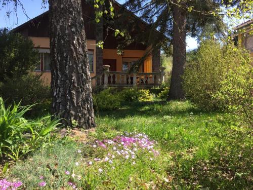 Фотография гостевого дома Óhuta Nyaraló