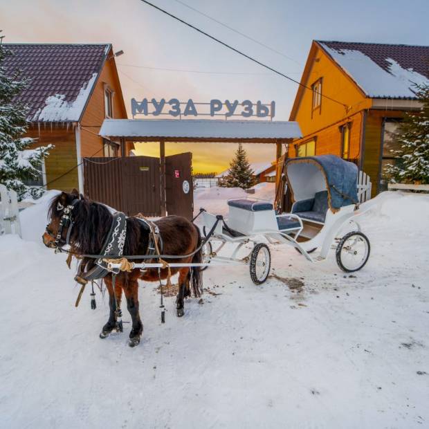 Фотографии гостиницы
Парк-Отель Муза Рузы