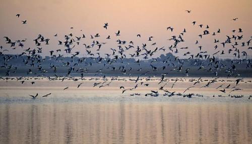 Фотография гостевого дома Las Banderas