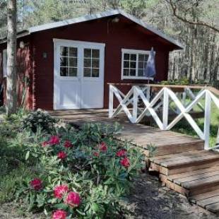 Фотография гостевого дома Nõva Madise Guesthouse