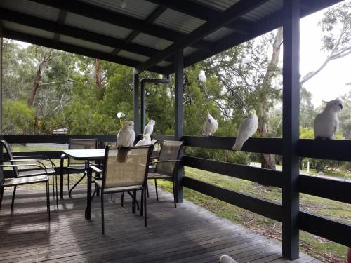 Фотографии гостевого дома 
            Cockatoo Cabin