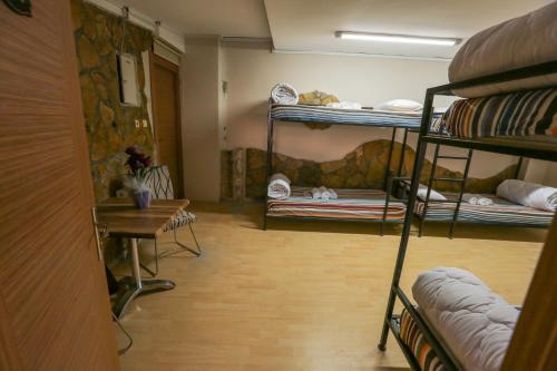 Фотография хостела Grand Margarita Hostel