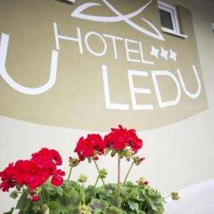 Фотографии гостиницы
Hotel u Ledu