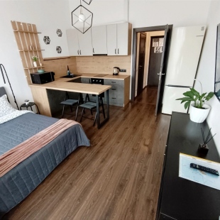 Фотография квартиры Квартира - студия на берегу Финского Залива №2