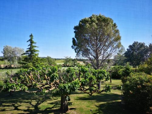 Фотография гостевого дома Mas de l'Olivier - Enclave des Papes - Visan - 8 couchages