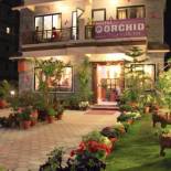 Фотография гостиницы Hotel Orchid